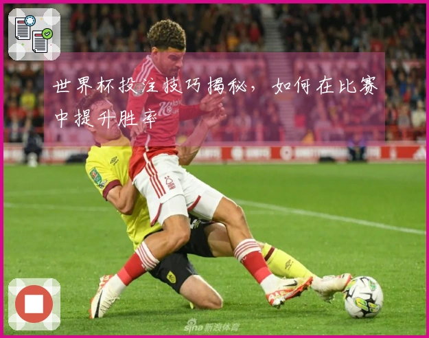 世界杯投注技巧揭秘，如何在比赛中提升胜率