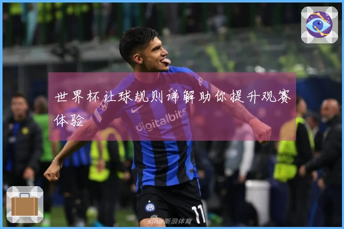 世界杯让球规则详解助你提升观赛体验