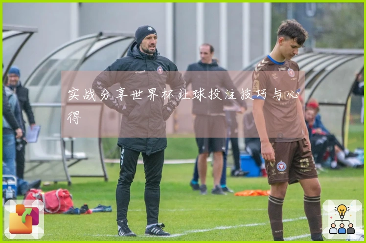 实战分享世界杯让球投注技巧与心得