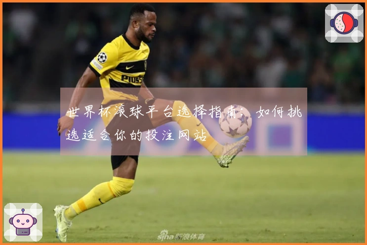 世界杯滚球平台选择指南：如何挑选适合你的投注网站