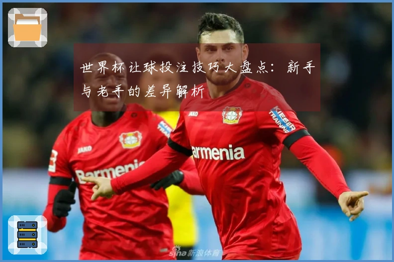 世界杯让球投注技巧大盘点：新手与老手的差异解析