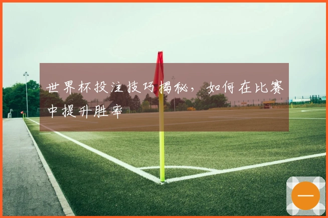 世界杯投注技巧揭秘，如何在比赛中提升胜率