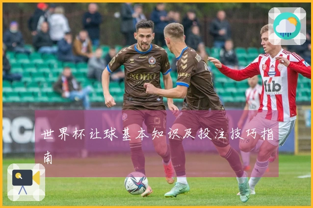 世界杯让球基本知识及投注技巧指南