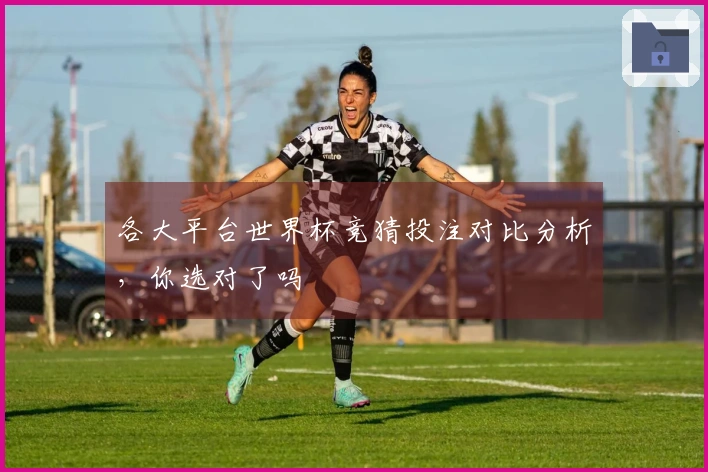 各大平台世界杯竞猜投注对比分析，你选对了吗