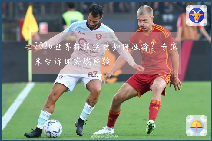 2026世界杯投注该如何选择？专家来告诉你实战经验