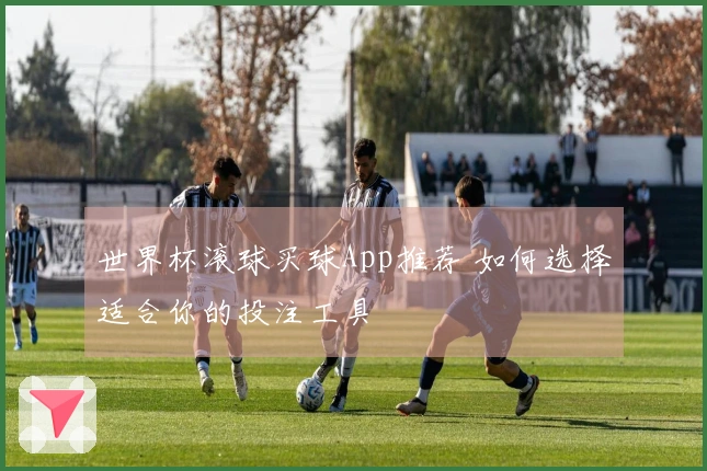世界杯滚球买球App推荐 如何选择适合你的投注工具