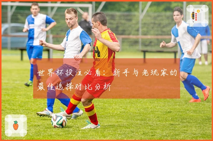 世界杯投注必看：新手与老玩家的最佳选择对比分析